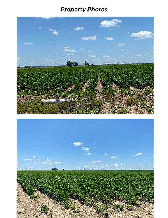 Image for 120 Acres CARAWAY ARKANSAS COTTON FARM