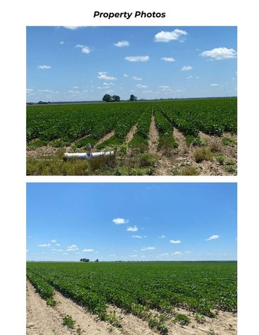Image for 120 Acres CARAWAY ARKANSAS COTTON FARM