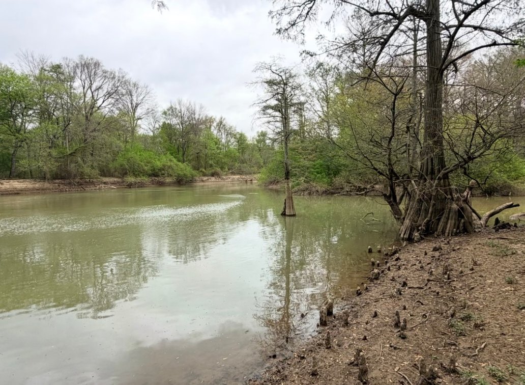 Image for 100 ACRES BLACK RIVER DUCK HUNTING CLUB