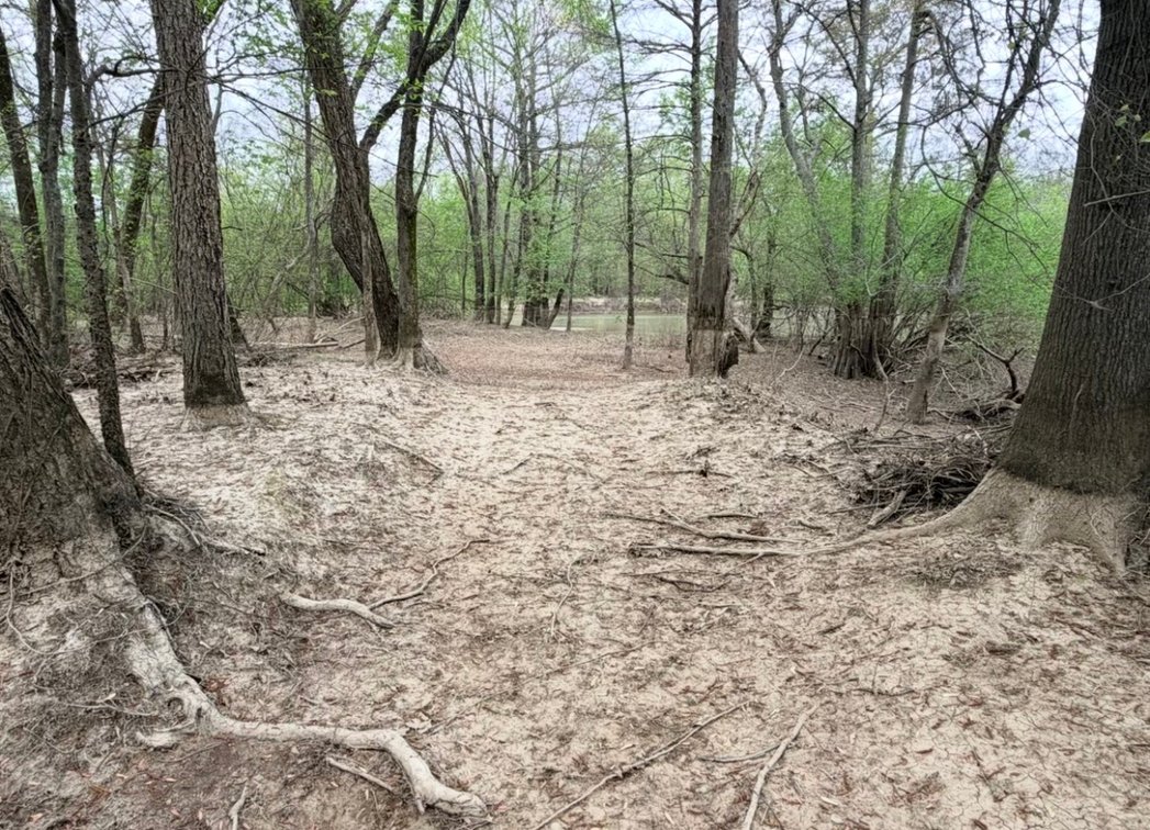 Image for 100 ACRES BLACK RIVER DUCK HUNTING CLUB