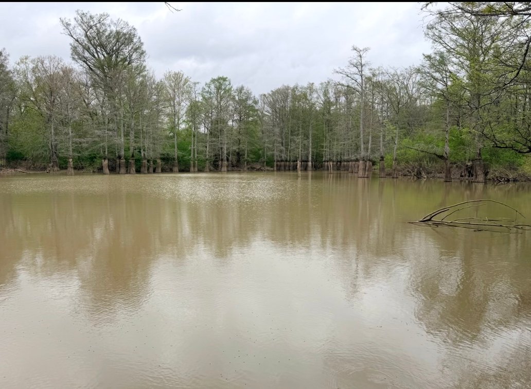 Image for 100 ACRES BLACK RIVER DUCK HUNTING CLUB