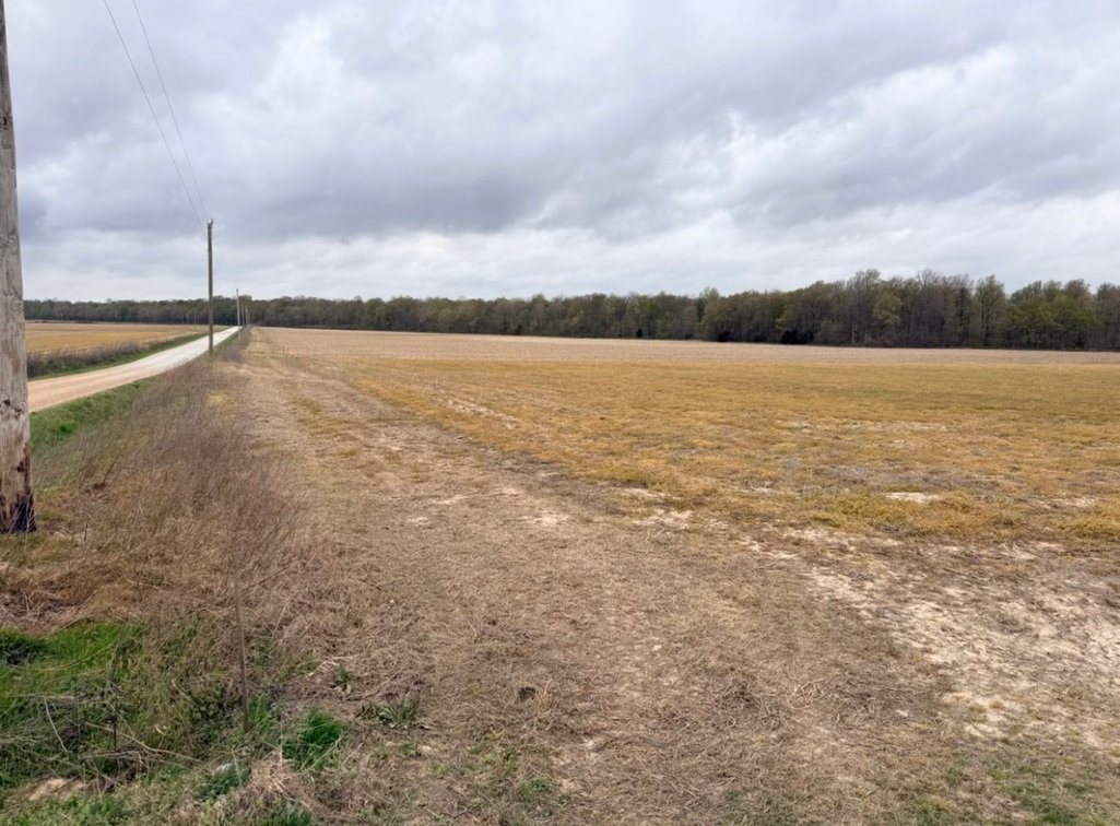 Image for 100 ACRES BLACK RIVER DUCK HUNTING CLUB
