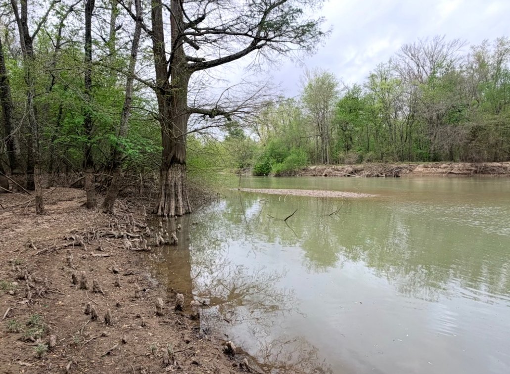 Image for 100 ACRES BLACK RIVER DUCK HUNTING CLUB