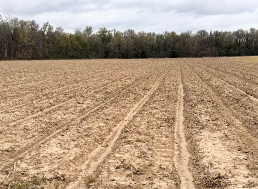 Image for 100 ACRES BLACK RIVER DUCK HUNTING CLUB