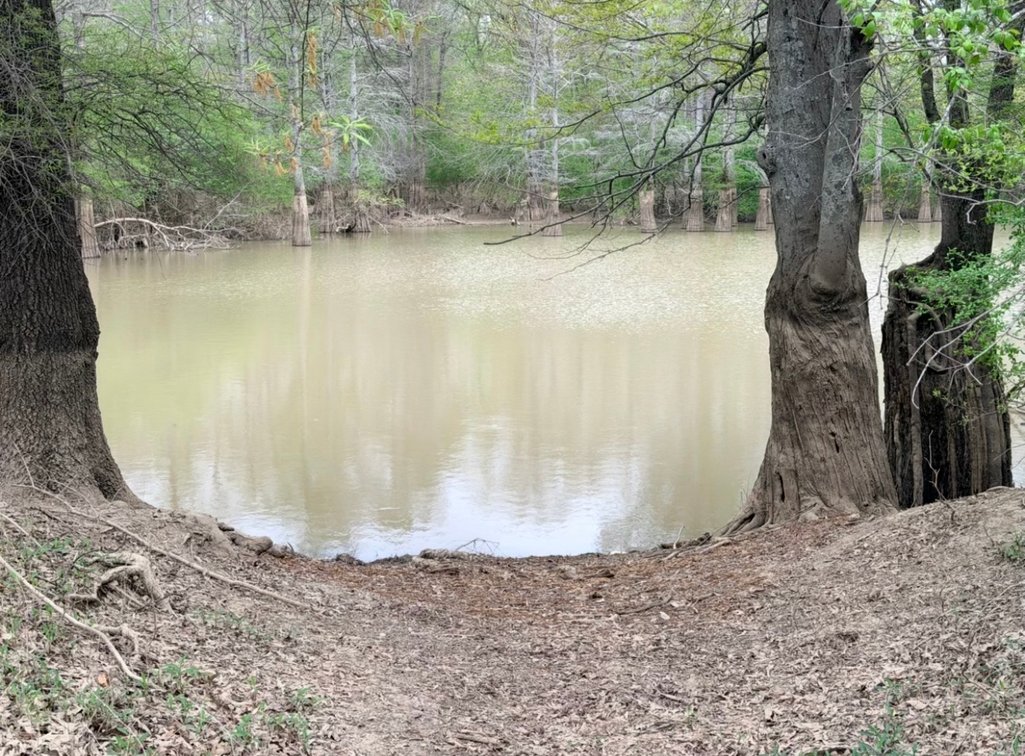 Image for 100 ACRES BLACK RIVER DUCK HUNTING CLUB