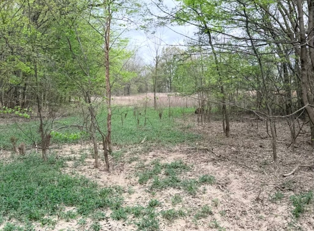 Image for 100 ACRES BLACK RIVER DUCK HUNTING CLUB