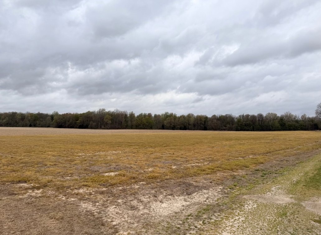 Image for 100 ACRES BLACK RIVER DUCK HUNTING CLUB