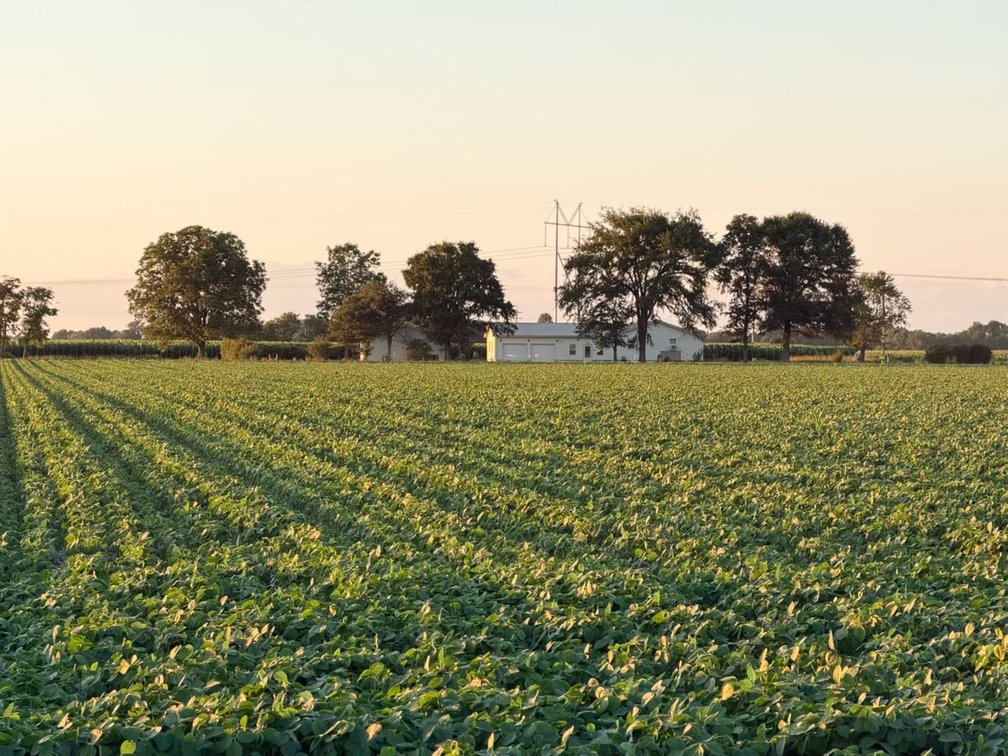 Image for 200 Acres Rowcrop Qulin Missouri