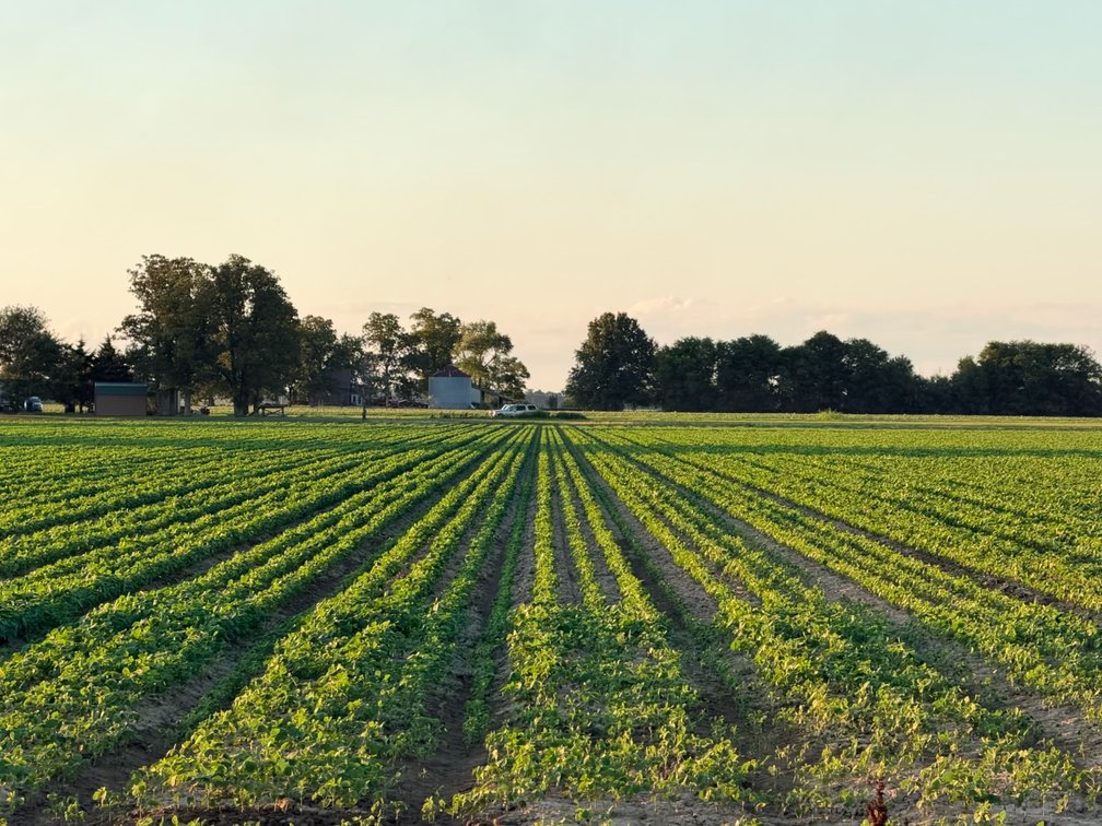 Image for 200 Acres Rowcrop Qulin Missouri