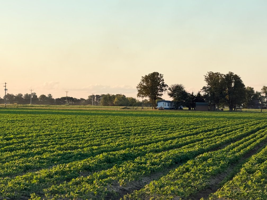 Image for 200 Acres Rowcrop Qulin Missouri