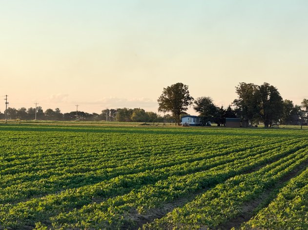 Image for 200 Acres Rowcrop Qulin Missouri