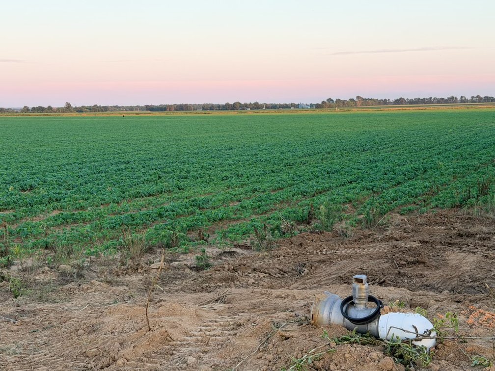 Image for 200 Acres Rowcrop Qulin Missouri