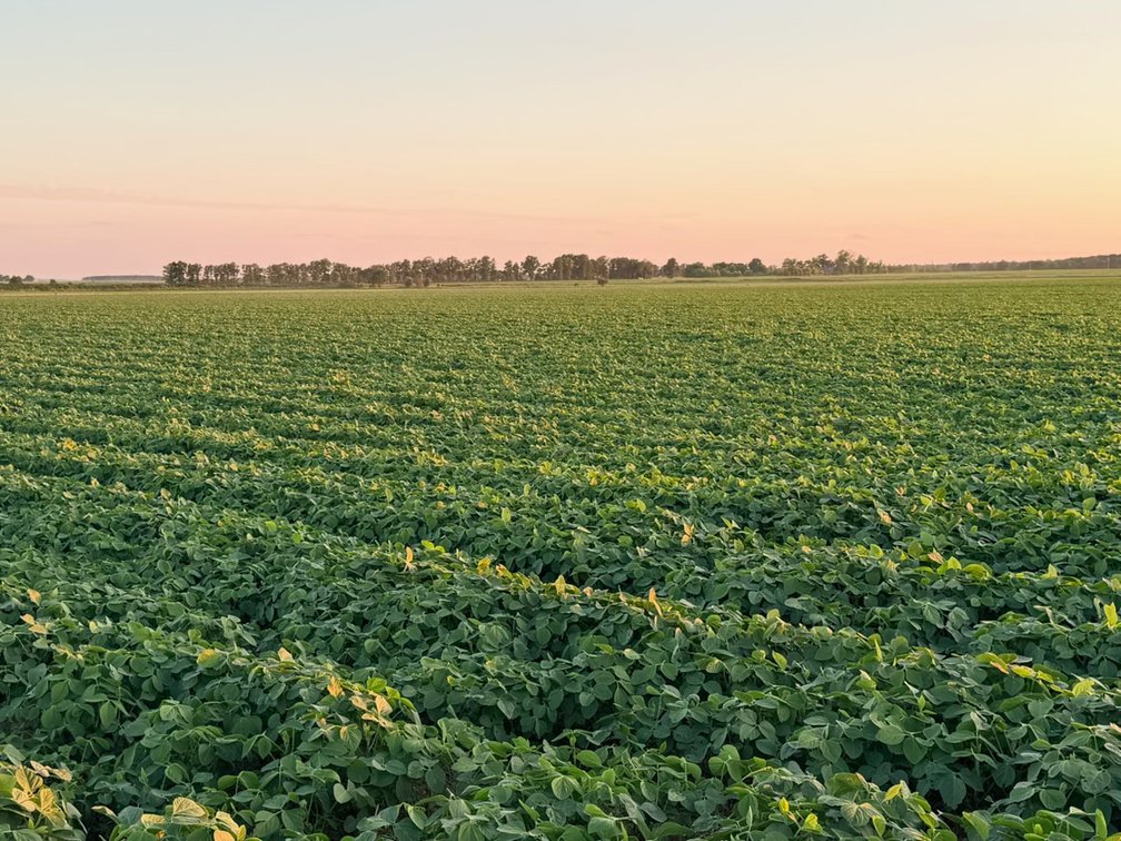 Image for 200 Acres Rowcrop Qulin Missouri