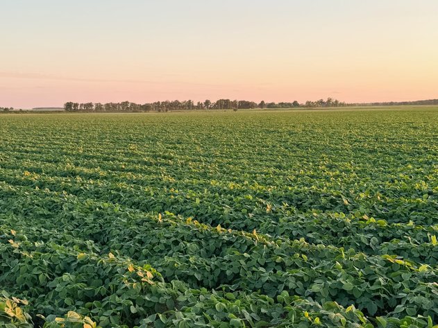 Image for 200 Acres Rowcrop Qulin Missouri
