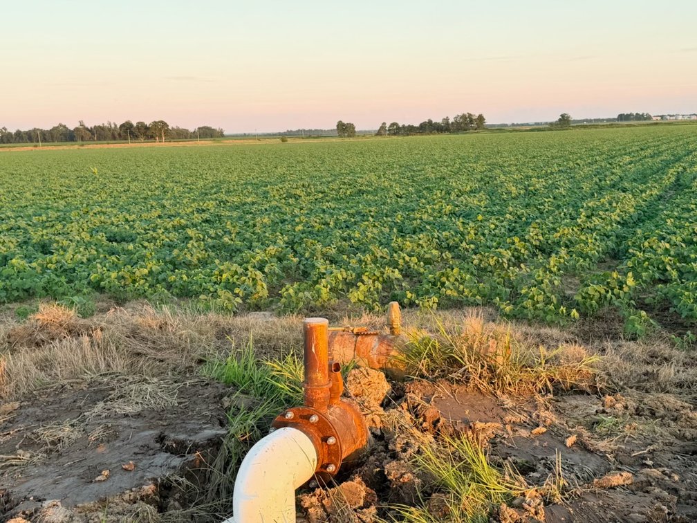 Image for 200 Acres Rowcrop Qulin Missouri