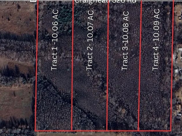 Image for 40 ACRES LAKE FRIERSON