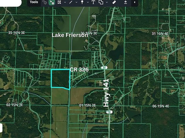 Image for 40 ACRES LAKE FRIERSON