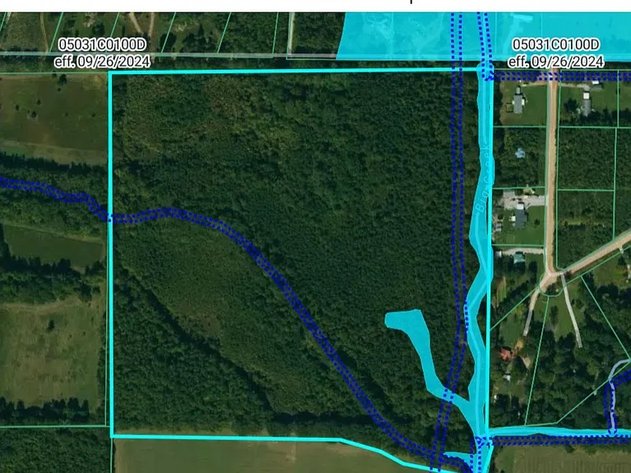 Image for 40 ACRES LAKE FRIERSON
