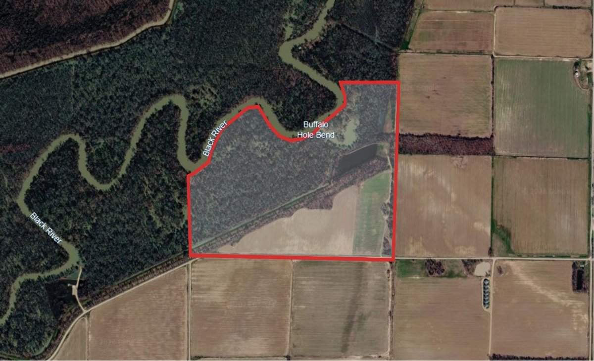 Image for 100 ACRES BLACK RIVER DUCK HUNTING CLUB