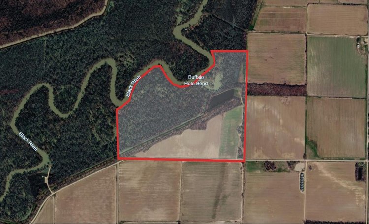 Image for 100 ACRES BLACK RIVER DUCK HUNTING CLUB