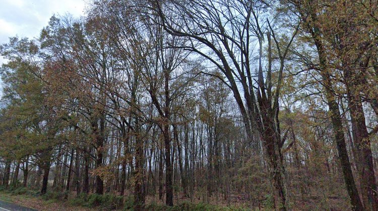 Image for 23 ACRES POPLAR BLUFF MISSOURI AG