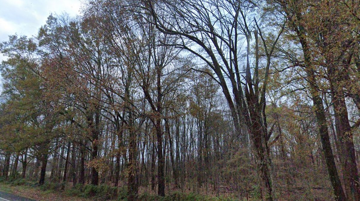 Image for 23 ACRES POPLAR BLUFF MISSOURI AG