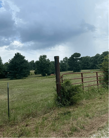 Image for 1663 COUNTY ROAD 751 JONESBORO ARKANSAS