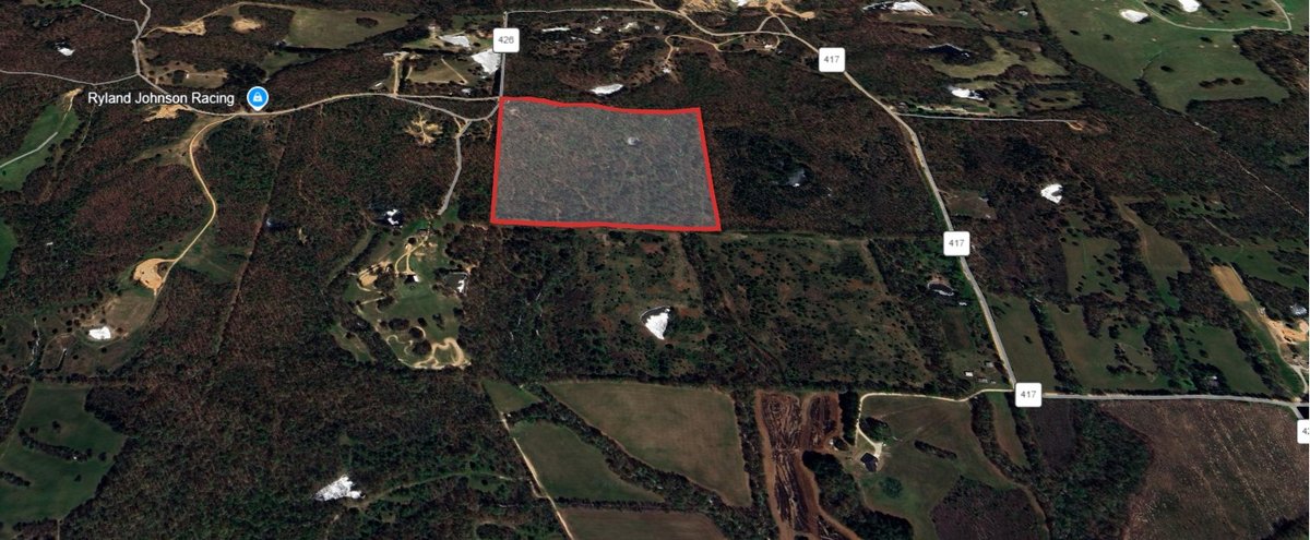 Image for 40 ACRE RECTOR ARKANSAS