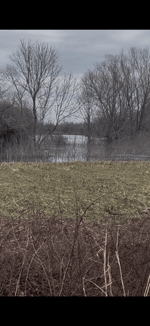 Image for 100 ACRES DUCK CLUB RIVES MISSOURI