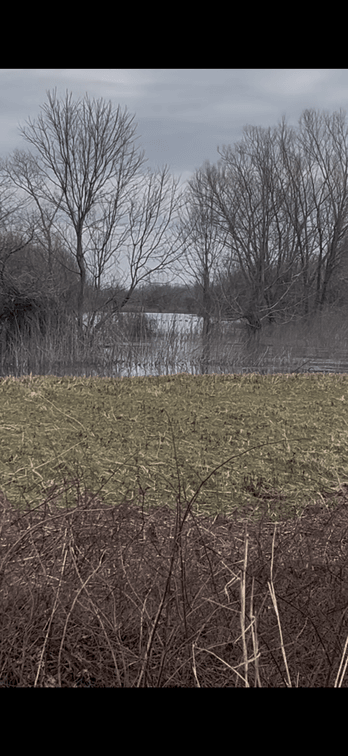 Image for 100 ACRES DUCK CLUB RIVES MISSOURI