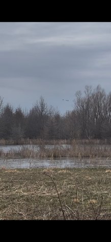 Image for 100 ACRES DUCK CLUB RIVES MISSOURI