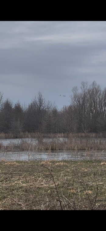 Image for 100 ACRES DUCK CLUB RIVES MISSOURI