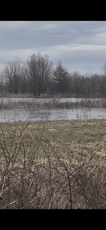 Image for 100 ACRES DUCK CLUB RIVES MISSOURI