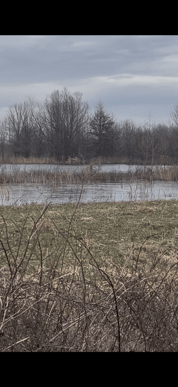 Image for 100 ACRES DUCK CLUB RIVES MISSOURI