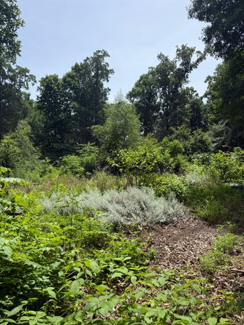 Image for 40 ACRE RECTOR ARKANSAS