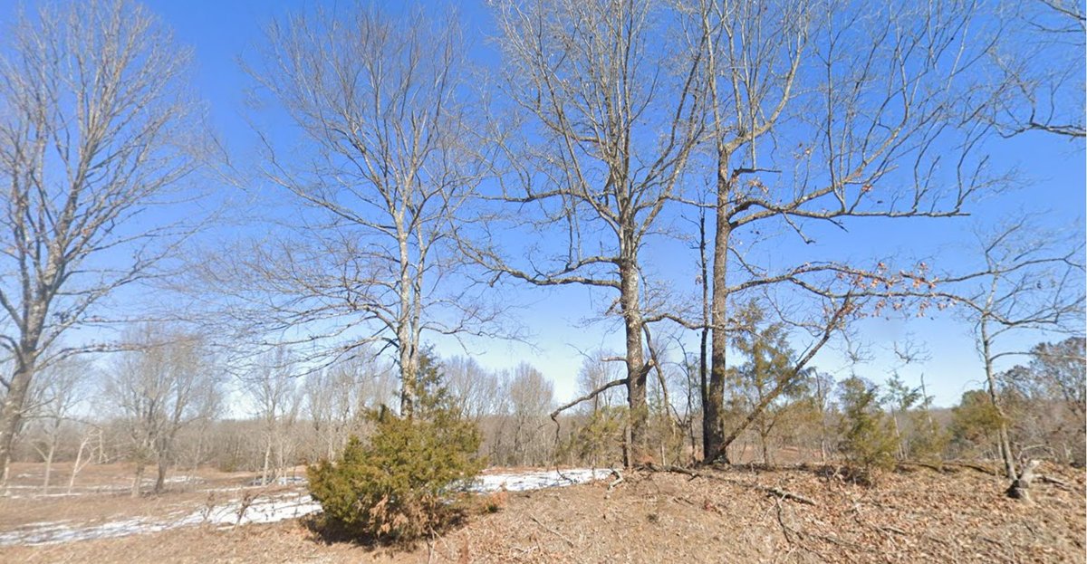 Image for 623 ACRES LAFE ARKANSAS