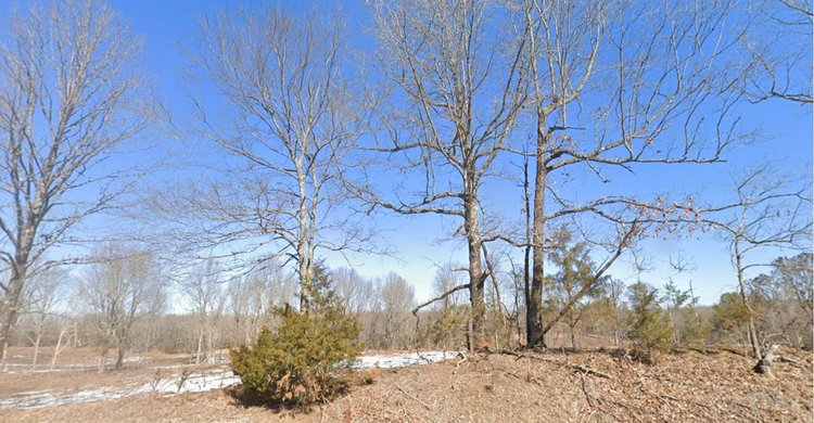 Image for 623 ACRES LAFE ARKANSAS