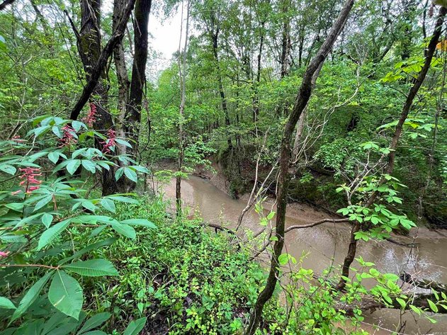 Image for 319 ACRES CROCKETT ARKANSAS