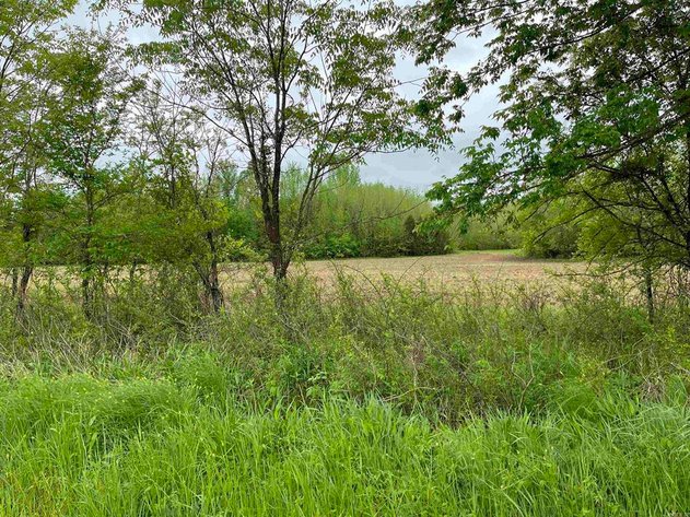 Image for 319 ACRES CROCKETT ARKANSAS