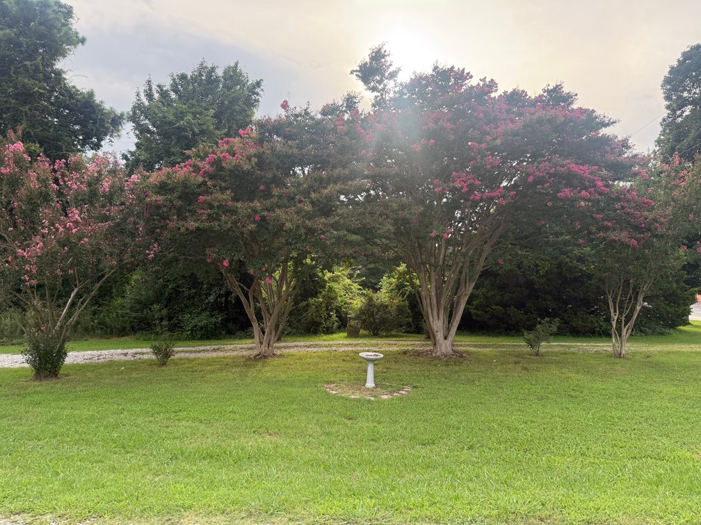Image for 5816 FAIRVIEW ROAD PARAGOULD ARKANSAS