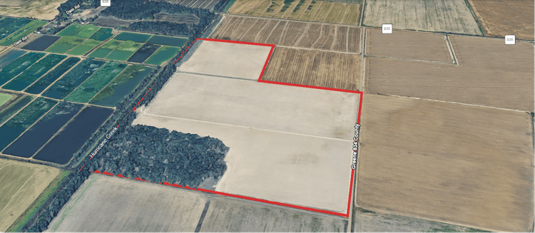 Image for 200 ACRES PARAGOULD ARKANSAS BARD COMMUNITY