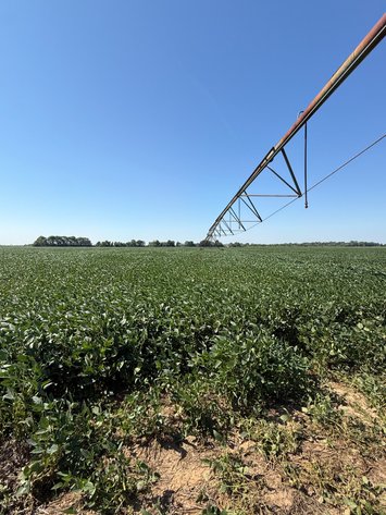 Image for 160 ACRES SIKESTON MISSOURI
