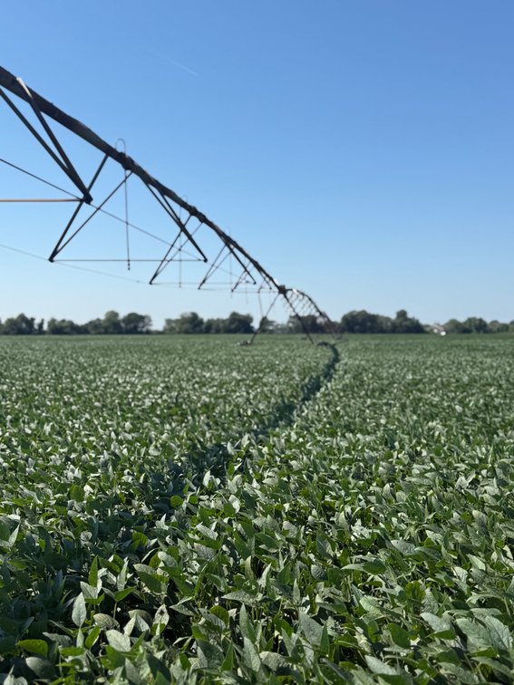 Image for 160 ACRES SIKESTON MISSOURI