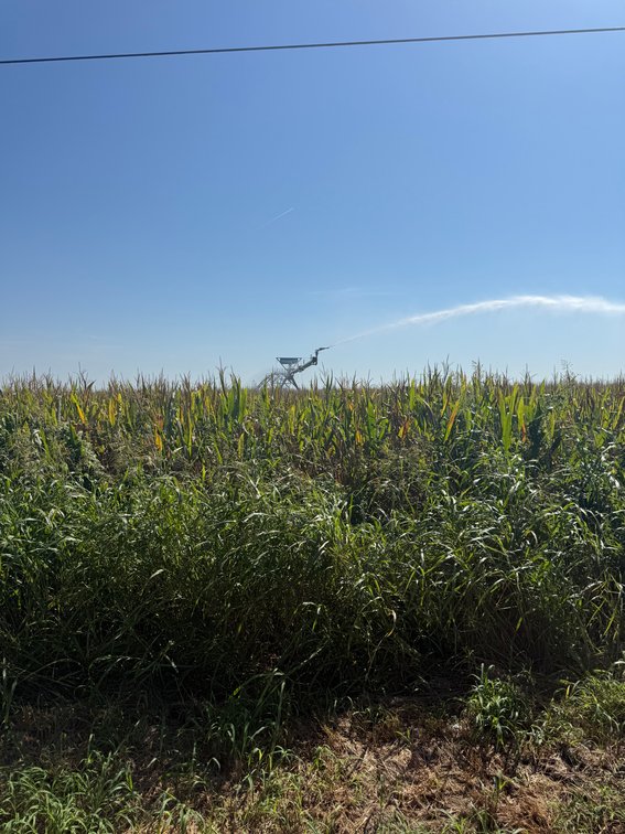 Image for 160 ACRES SIKESTON MISSOURI