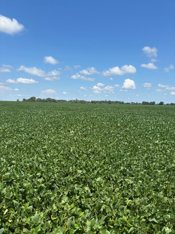 Image for 160 ACRES SIKESTON MISSOURI