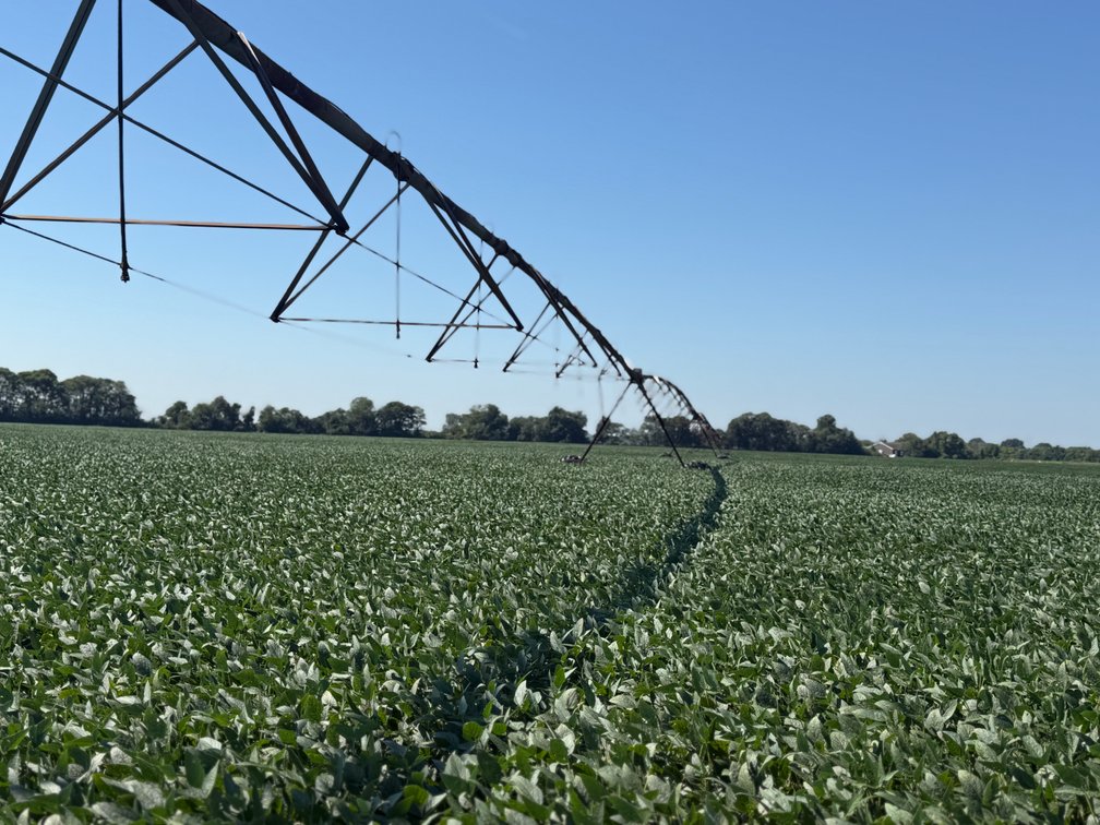 Image for 160 ACRES SIKESTON MISSOURI