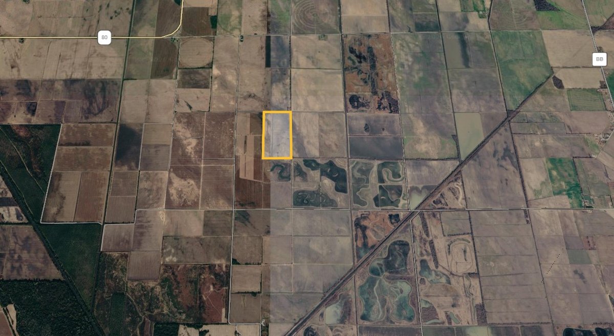 Image for 80 ACRES MISSISSIPPI COUNTY