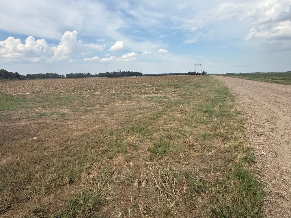 Image for 16.33 ACRES BONO ARKANSAS
