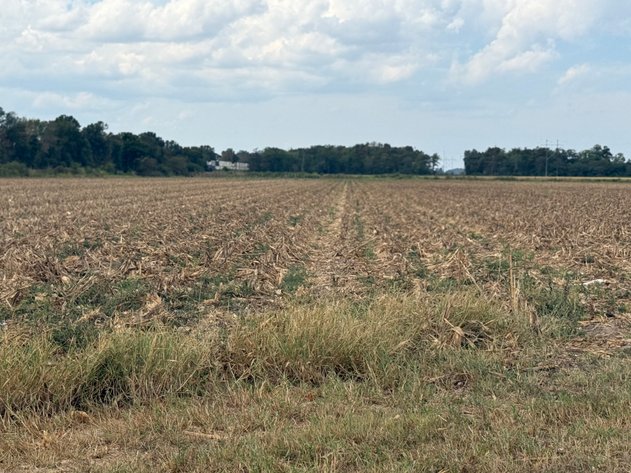 Image for 16.33 ACRES BONO ARKANSAS