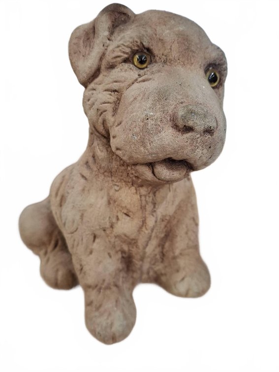 Image for Weekly Conway Consignment Auction – August 20
